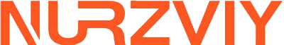 Nurzviy Energy logo