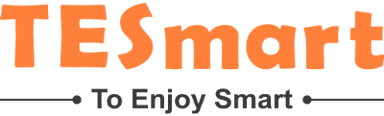 TESmart logo