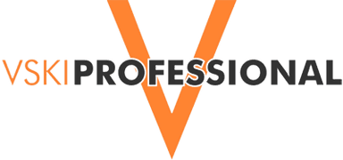 VSKI Professional logo