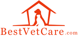 BestVetCare logo