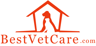 BestVetCare logo